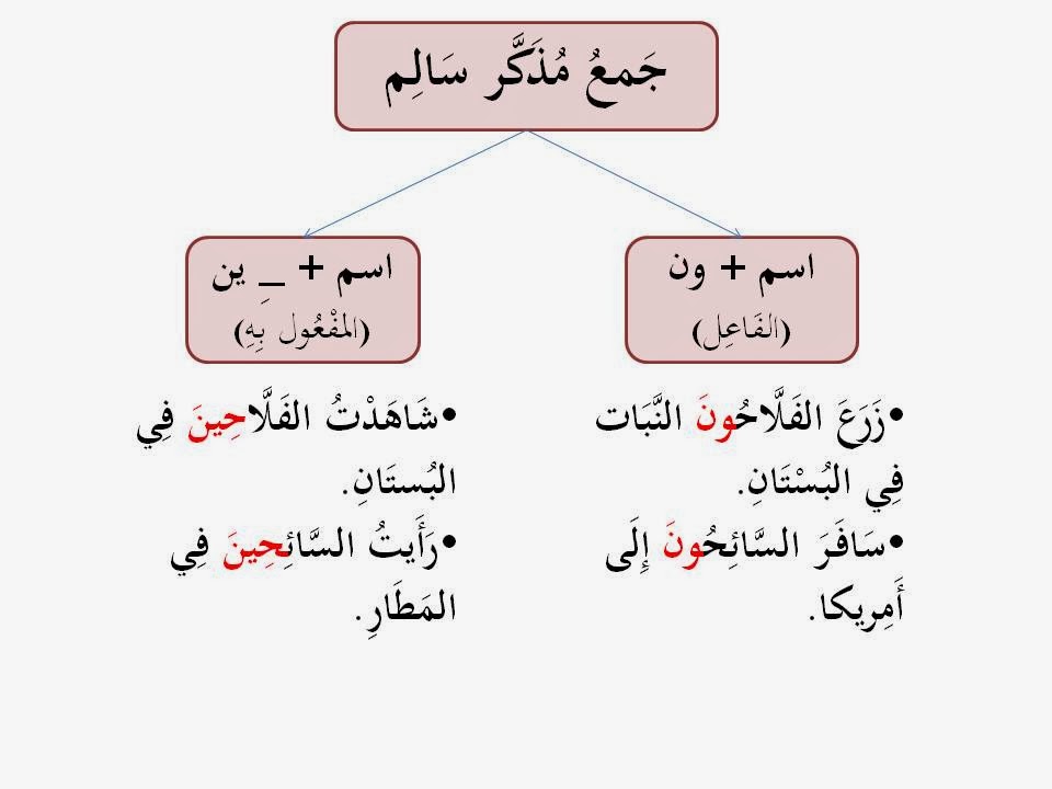 جمل جمع مذكر سالم - تعريف جمع المذكر السالم 42 1