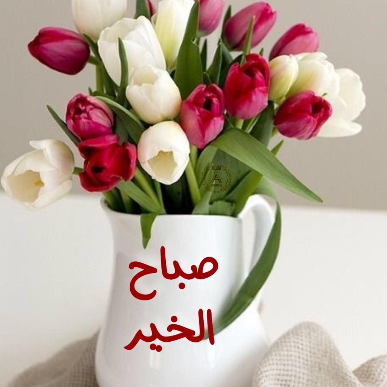 احلى صور للصباح - صور للصبح تجنن 10045 12