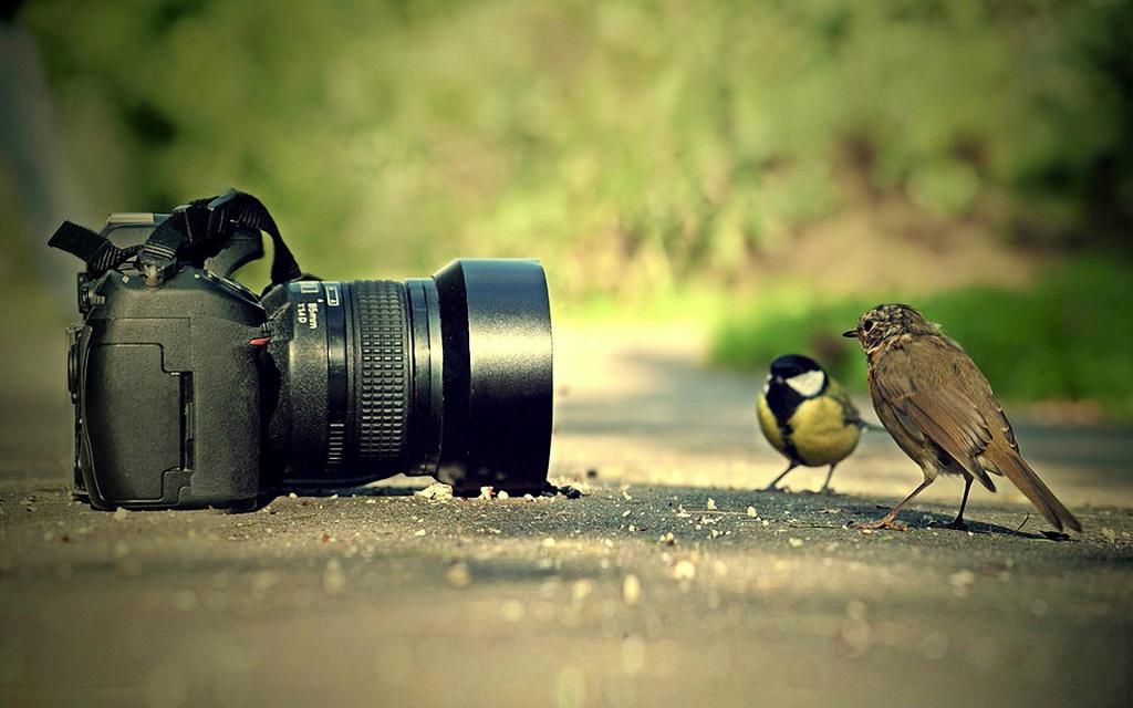 عبارات عن التصوير - حياة اخرى داخل الصور