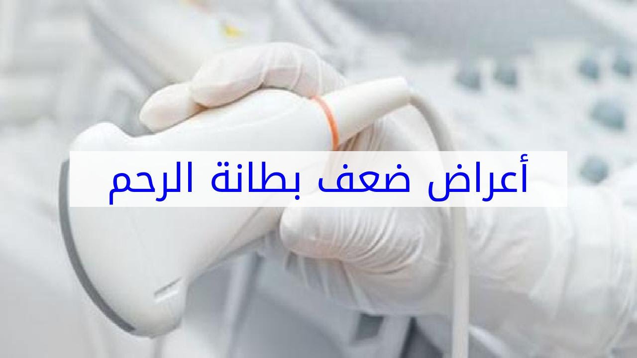 ضعف بطانة الرحم والعسل - ما هى علاقة ضعف بطانة الرحم بالعسل 982 6