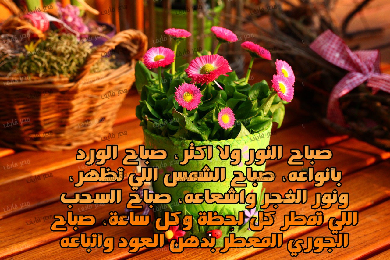 صور صباح الخير مع دعاء - اجمل الادعية مع صباح الخير 3208 4