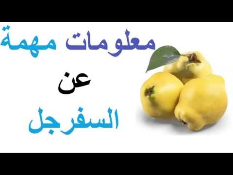 فوائد السفرجل للرجل - اهم فوائد السفرجل للرجل 1495 2