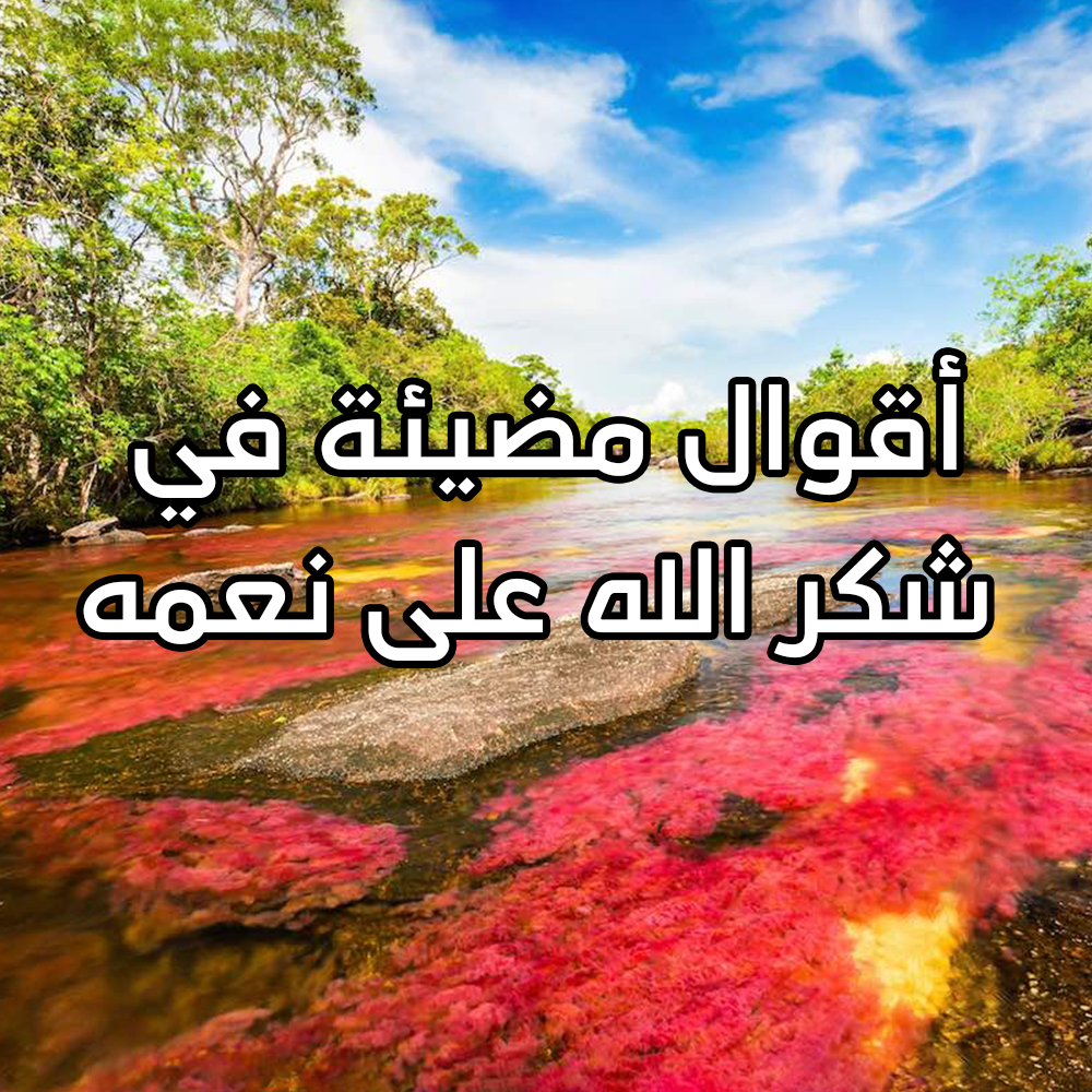 كلمات شكر الله اشكر ربك علي النعم 4947