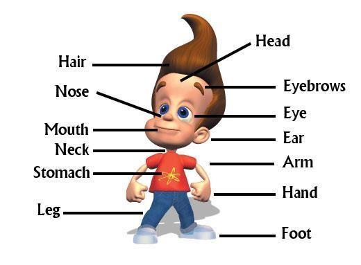 معنى كلمة وجه بالانجليزي , تعرف علي كيفية كتابة كلمة Face