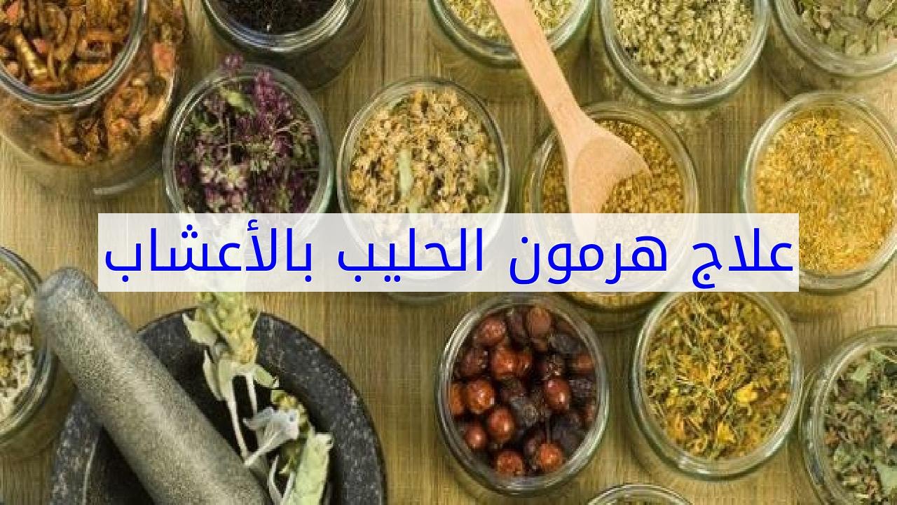 اعشاب تخفض هرمون الحليب , افضل طريقة لعلاج هرمون الحليب عند المراه