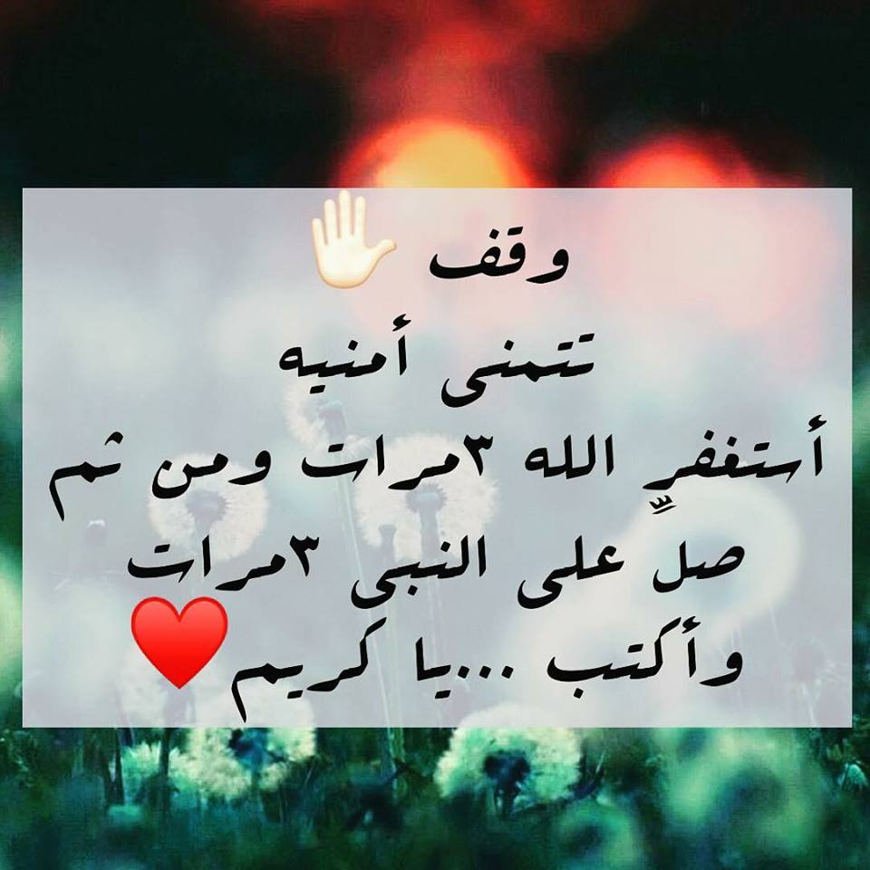 صور اسلاميه منوعه - حافظ علي دينك 4936 6