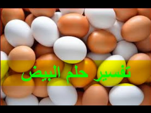 تفسير حلم بيض مسلوق - معني رؤية البيض في المنام 4295 3