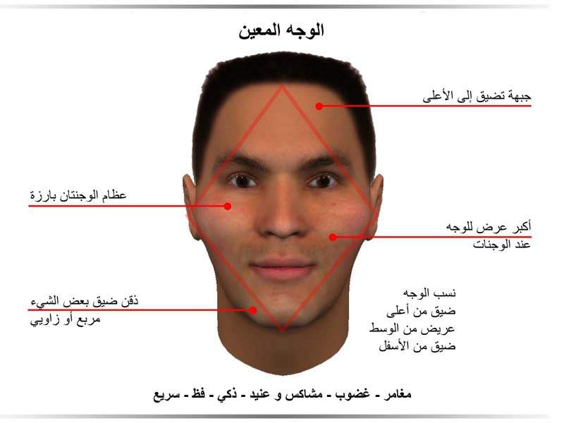 علامات الذكاء في الوجه , الوجة هل يفضح صاحبة