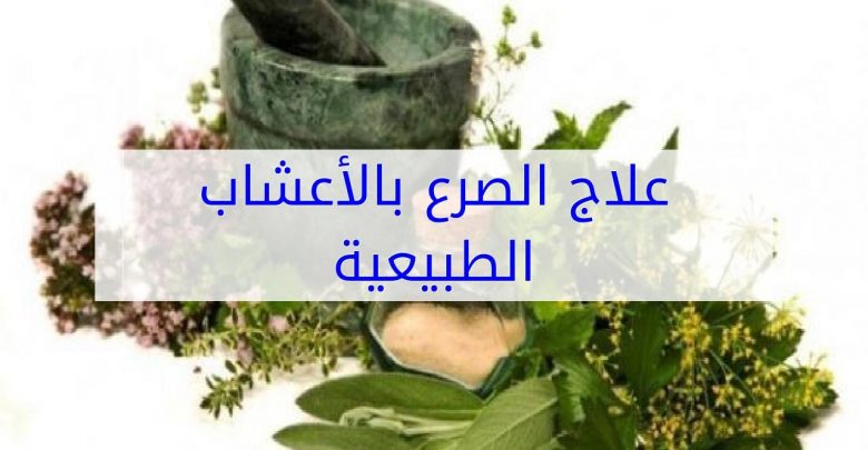 علاج الصرع بالاعشاب مجرب - كيفية علاج الصرع بالاعشاب الطبيعية 1377 2