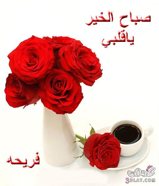 صورة وردة صباح الخير ، عبارات صباحية 43386 9