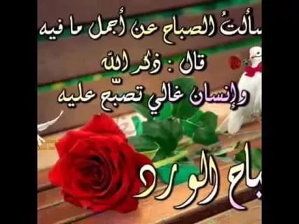 اشعار عن الصباح 2229