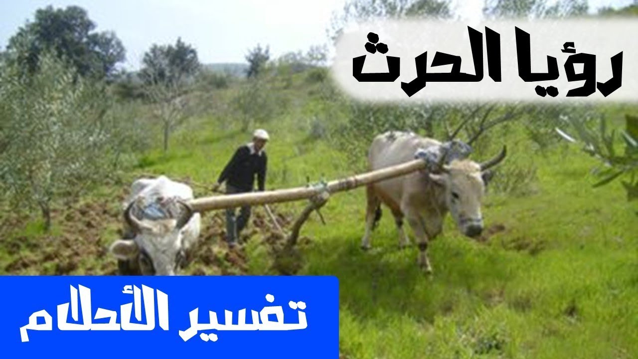 تفسير حلم الزراعة - تعرف على رائة حلم الزراعه 6082 2