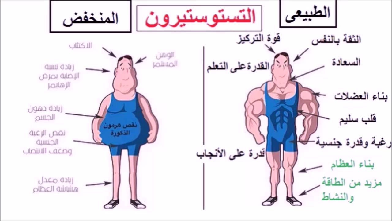 ارتفاع هرمون الذكورة كيف تعرف انك تعاني من زياده هرمون الذكورة