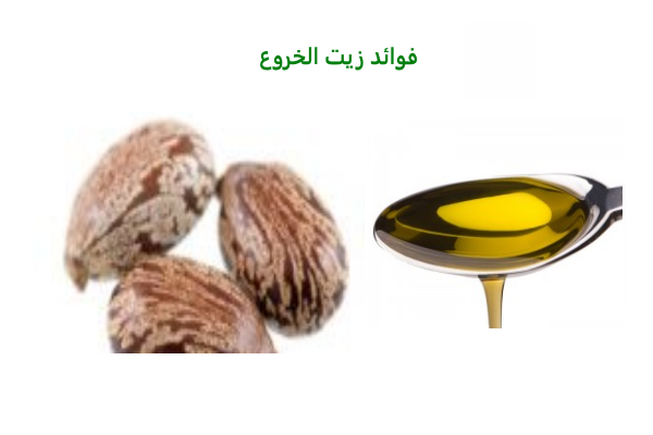 ما فوائد زيت الخروع , اهم الزيوت التي تفييد الجسم