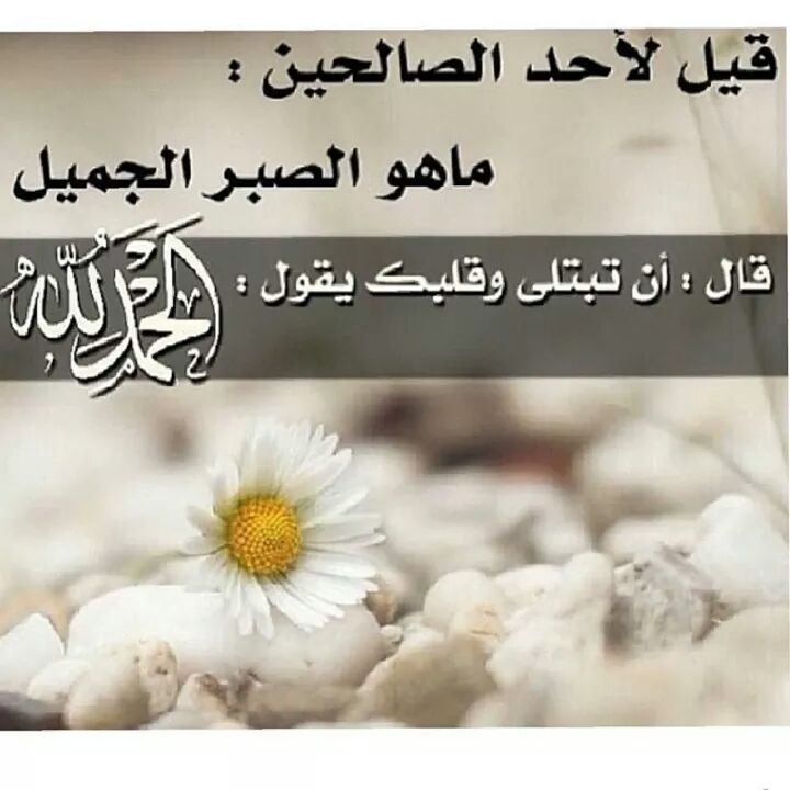 صور وكلمات اسلامية - الاسلام يدفعنا الى السلام 5919 2