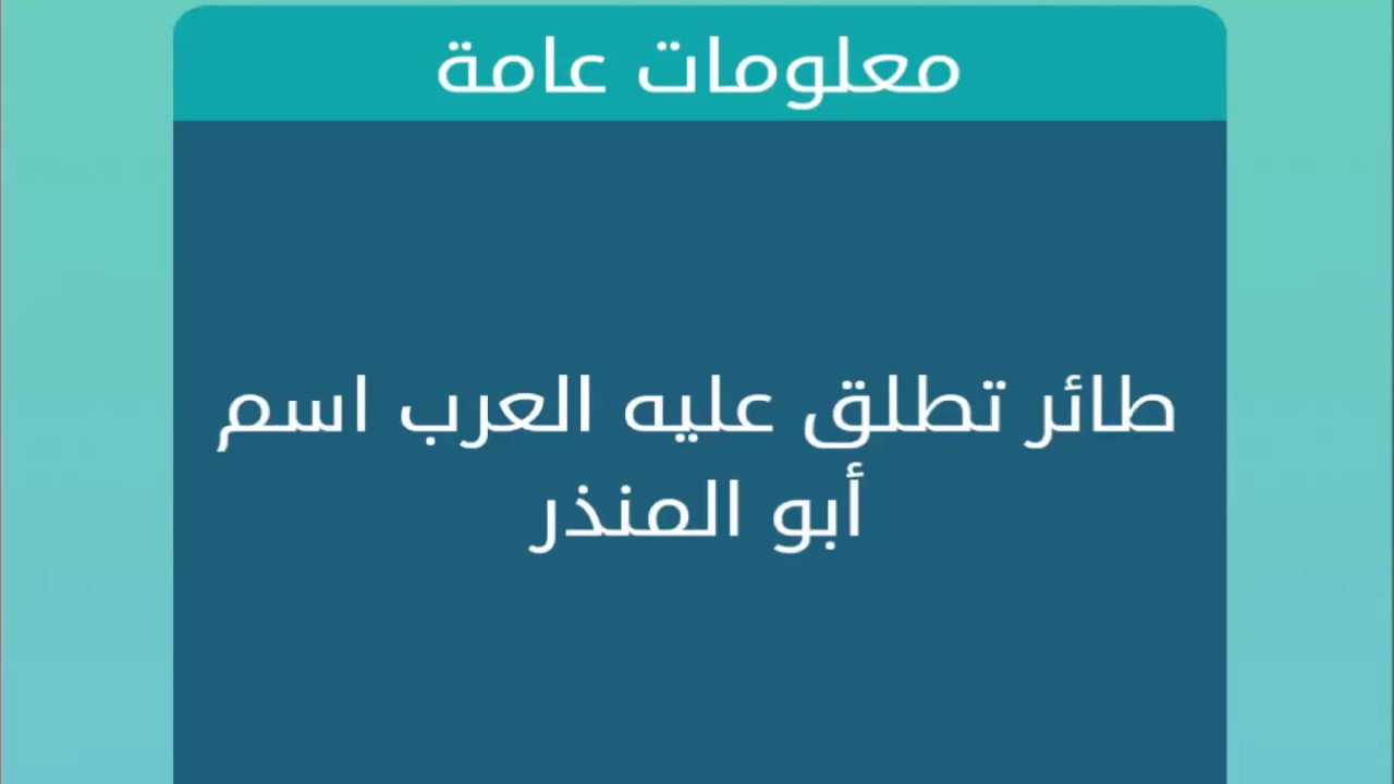 طائر تطلق علية العرب اسم ابو المنذر , ما هو اسم طائر مكون من 5 حروف ابو منذر