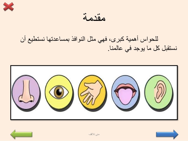 بحث عن الحواس الخمس - موضوع عن الحواس الخمسة 11121 1