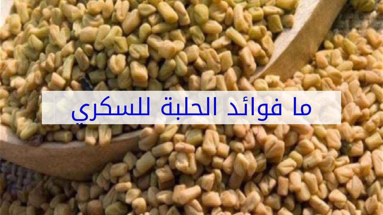 فوائد الحلبة للسكري , اعشاب مفيدة لمرض السكر