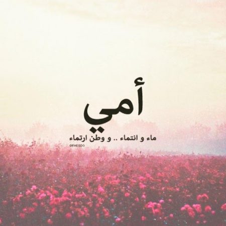 توبيكات حلوه عن الام - احلى المواضيع عن الام 1496 6