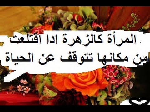 اجمل ما قيل عن المراة المسلمة - كلمات جميلة عن المراة المسلمة 1383 9