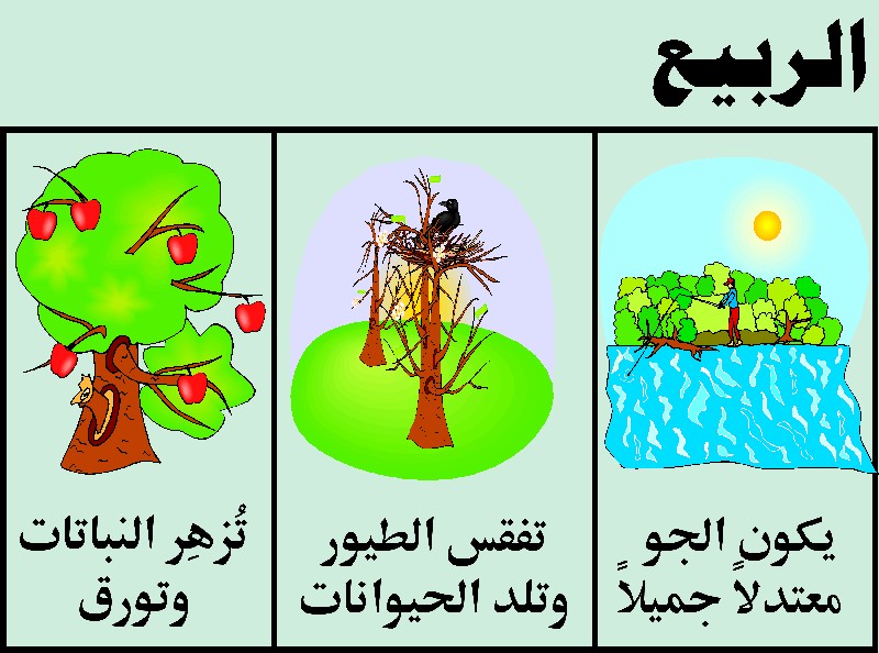 صور عن الفصول الاربعة - صور الاختلافات بين الفصول الاربعة 1500 10