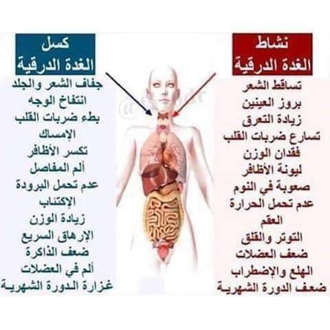 اعراض الغدة الدرقية , تعرف ازاى انك عندك غده تابعنى