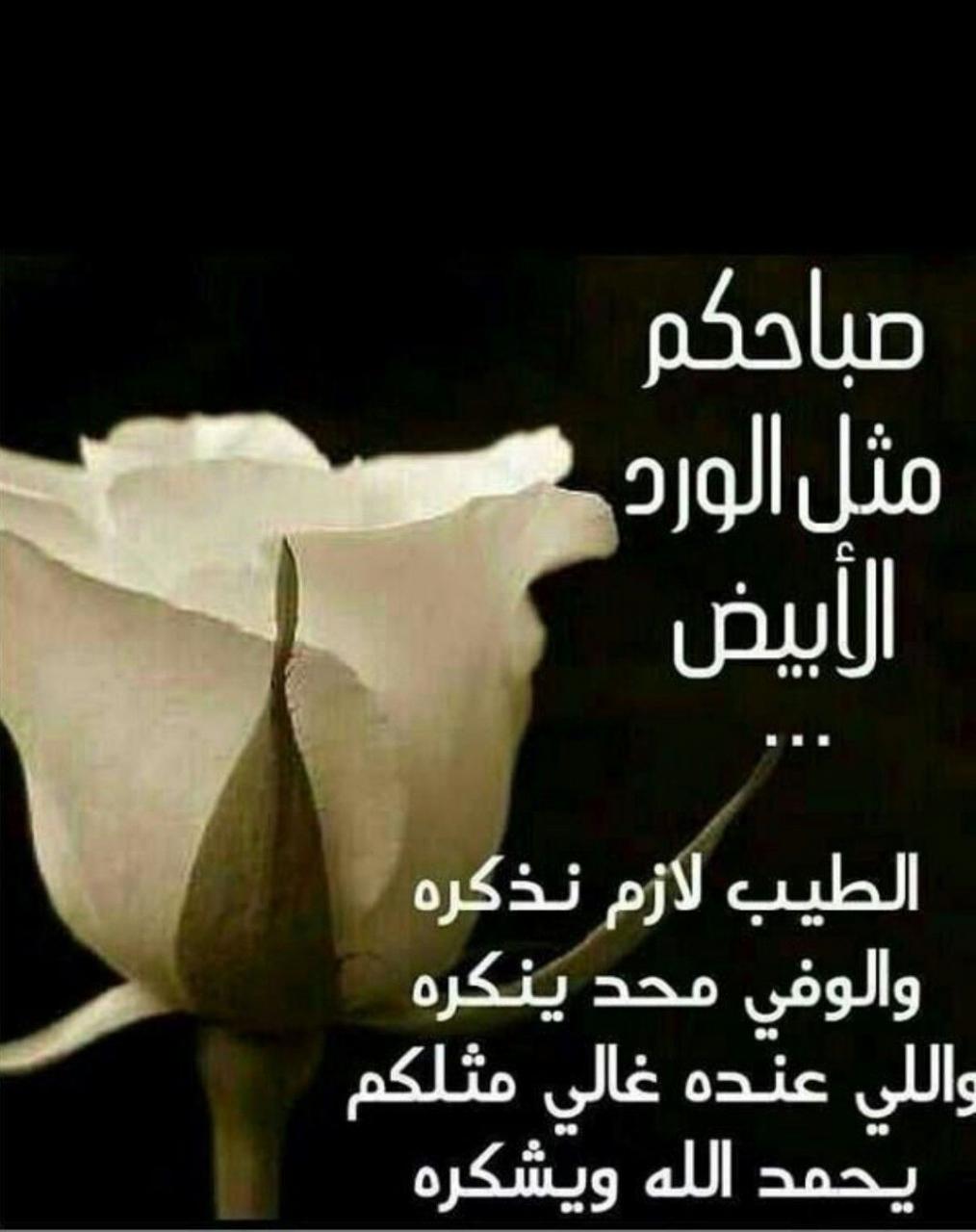 اشعار عن الصباح 2229 2