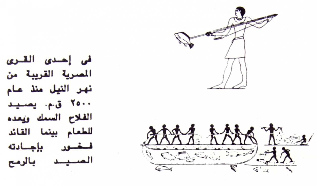 شعر عن صيد السمك , من اجمل المهارات التى يمكن ان تكون ميزه فى كثير من الناس ان يتعلموا الصيد فيكون له حكم يمكن ايضاحها باستفاضه