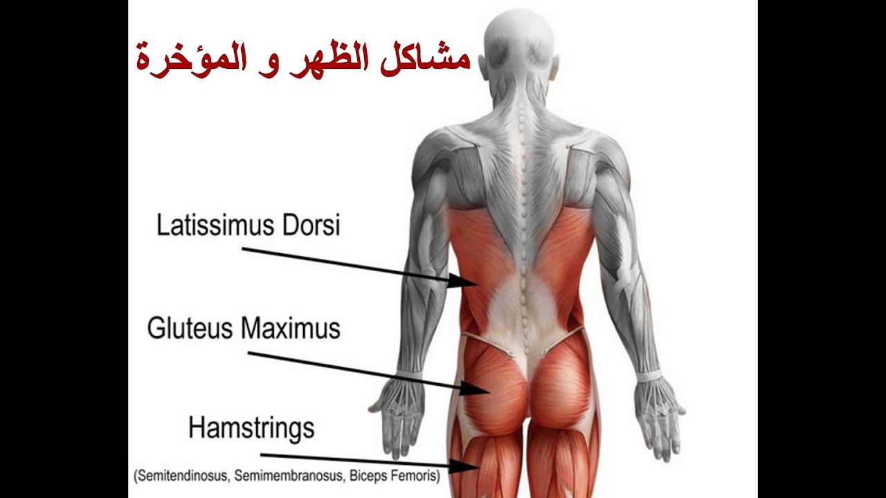 الم في المؤخرة اليمنى , كيف تتعاملين مع الالام