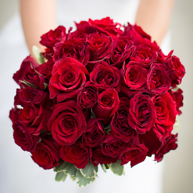 صور ورود حمراء , بوكيه من الورود الحمراء كافي للتعبير عن حبك الحبيب