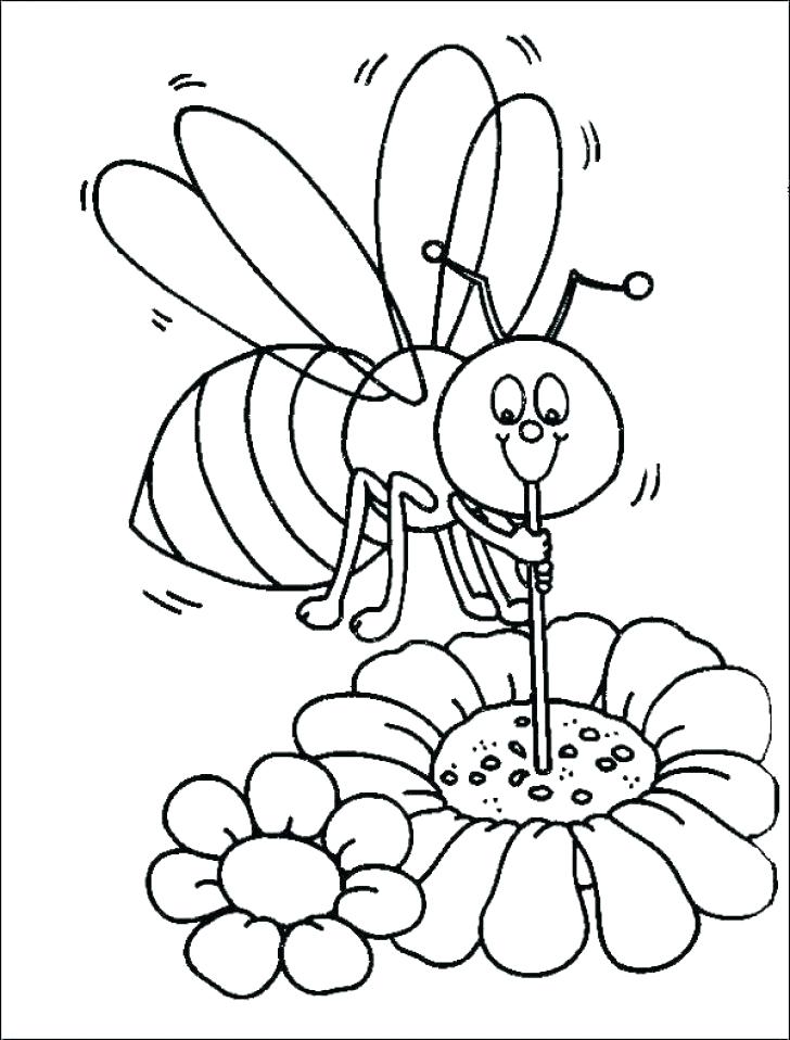 صورة نحلة للتلوين , علمي طفلك كيف يرسم ويلون نحلة - الحبيب للحبيب