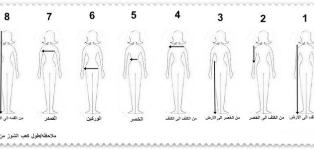 بمفردي المعدات النتيجة طريقة اخذ مقاسات الجسم للرجيم bsssem com