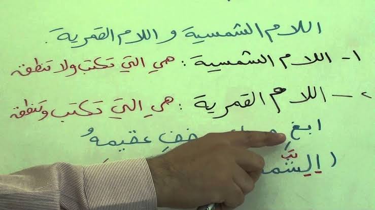 جمع اخطبوط في اللغه العربيه الجذع المشترك
